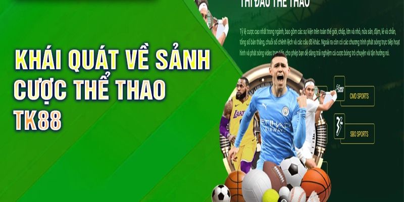 Giới thiệu về sảnh cá cược thể thao TK88